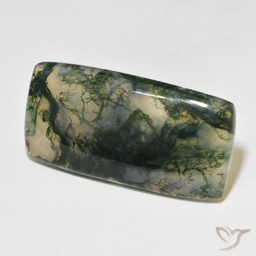 Ágata musgosa Multicolor natural de 49.99 ct, Forma Cojín, Translúcido