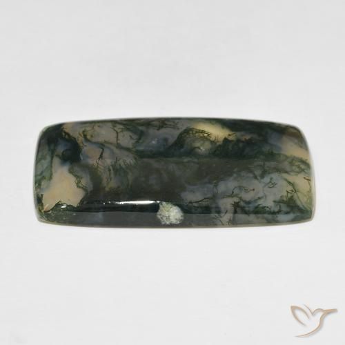 Ágata musgosa Multicolor natural de 49.99 ct, Forma Cojín, Translúcido