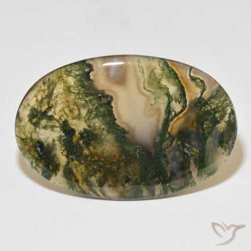 47.75ct Natural Multicolor ágata de musgo, Ovalada, Translúcido