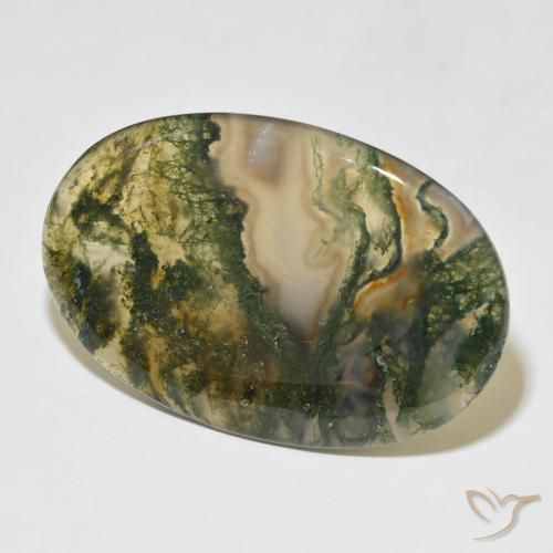 Ágata musgosa Multicolor natural de 47.75 ct, Ovalada, Translúcido