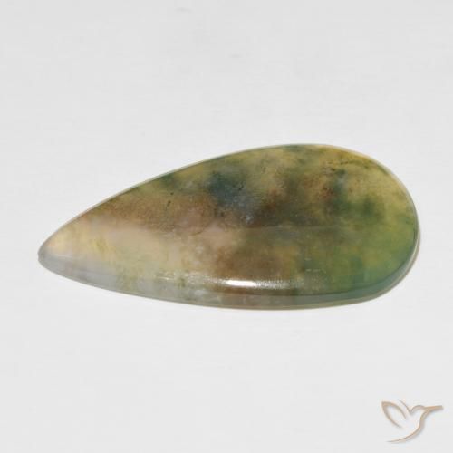 Ágata musgosa Multicolor natural de 39.08 ct, En forma de pera, Translúcido