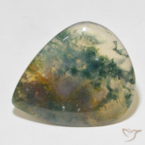ágata de musgo Multicolor natural de 49.60 ct, En forma de pera, Translúcido