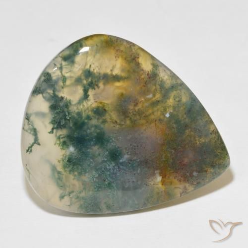 ágata de musgo Multicolor natural de 49.60 ct, En forma de pera, Translúcido