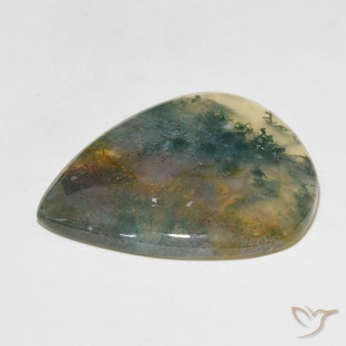 ágata de musgo Multicolor natural de 49.60 ct, En forma de pera, Translúcido