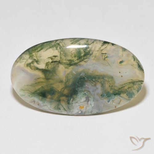 48.97ct Natural Multicolor ágata de musgo, Ovalada, Opaco