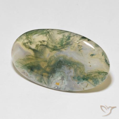 Ágata musgosa Multicolor natural de 48.97 ct, Ovalada, Opaco