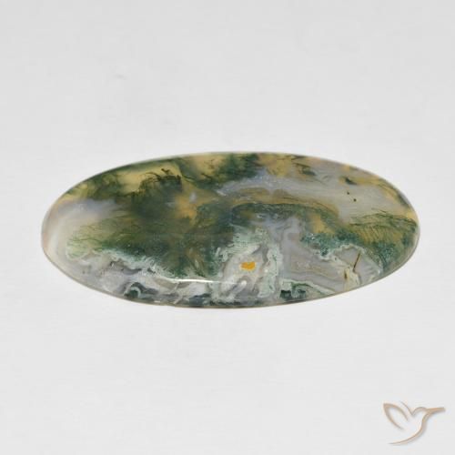 Ágata musgosa Multicolor natural de 48.97 ct, Ovalada, Opaco