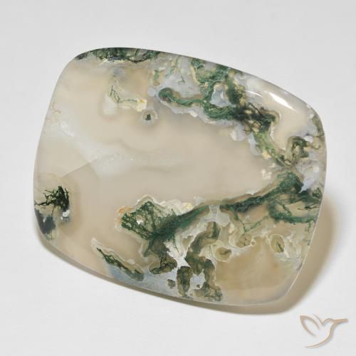 Ágata musgosa Multicolor natural de 82.54 ct, Forma Cojín, Translúcido