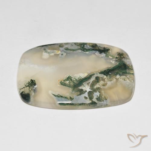 Ágata musgosa Multicolor natural de 82.54 ct, Forma Cojín, Translúcido