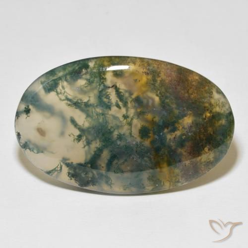 63.36ct Natural Multicolor ágata de musgo, Ovalada, Translúcido