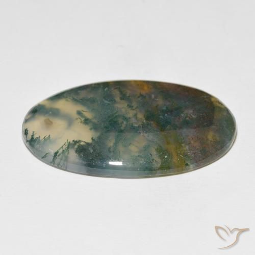 Ágata musgosa Multicolor natural de 63.36 ct, Ovalada, Translúcido