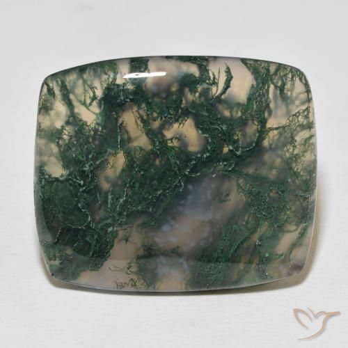 27.23ct Natural Multicolor ágata de musgo, Forma Cojín, Opaco