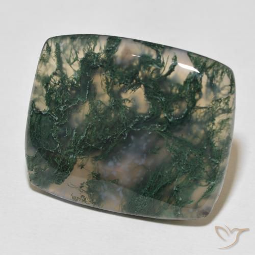 Ágata musgosa Multicolor natural de 27.23 ct, Forma Cojín, Opaco