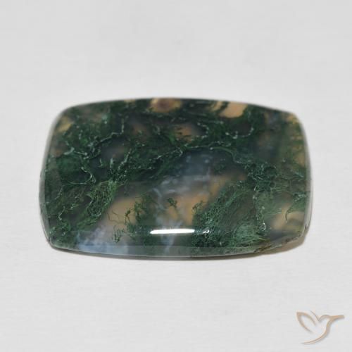 Ágata musgosa Multicolor natural de 27.23 ct, Forma Cojín, Opaco
