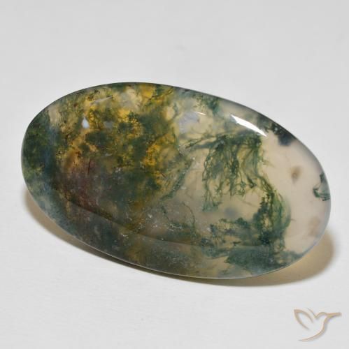 Ágata musgosa multicolor natural de 47,03 ct, corte óvalo, opaco