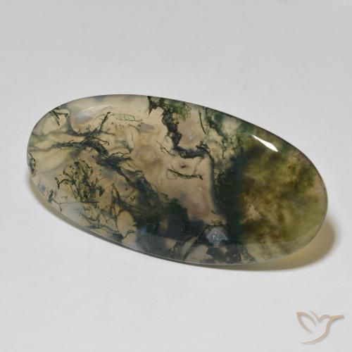 Ágata musgosa Multicolor natural de 83.26 ct, Ovalada, Opaco