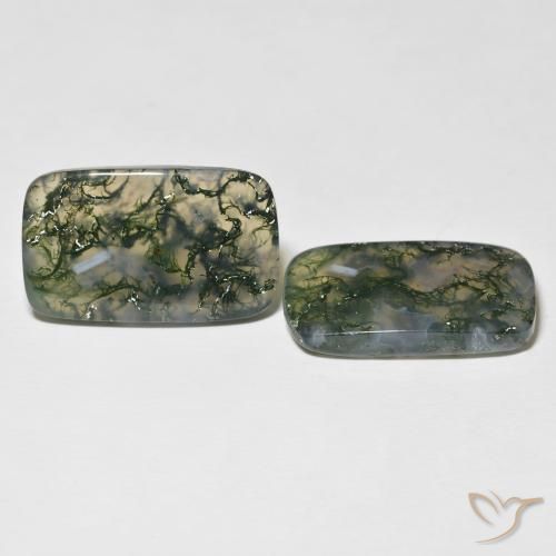 Gemas de Ágata musgosa Multicolor natural de 28.06 ct, Forma Cojín, Translúcido