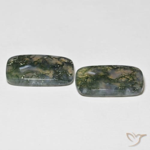 Gemas de Ágata musgosa Multicolor natural de 28.06 ct, Forma Cojín, Translúcido
