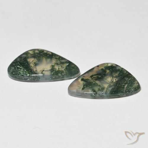 Gemas de Ágata musgosa Multicolor natural de 19.96 ct, Elegante, Translúcido