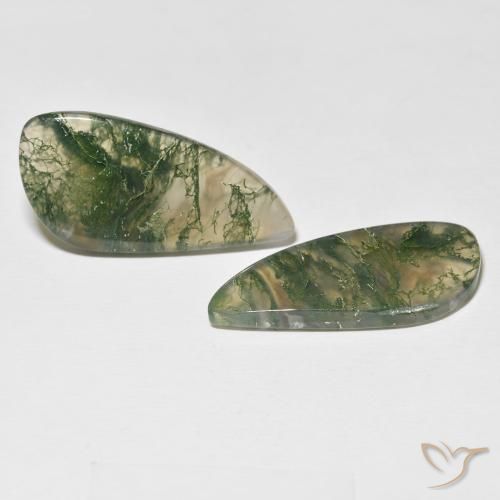 Gemas de Ágata musgosa Multicolor natural de 24.05 ct, Elegante, Translúcido