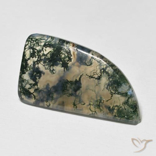 Ágata musgosa Multicolor natural de 12.73 ct, Elegante, Translúcido