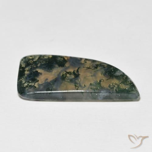 Ágata musgosa Multicolor natural de 12.73 ct, Elegante, Translúcido