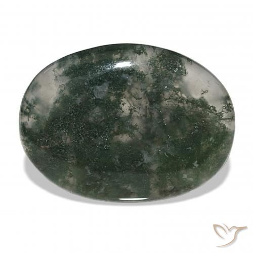 39.60ct Multicolor Ágata musgosa, Ovalada, Translúcido