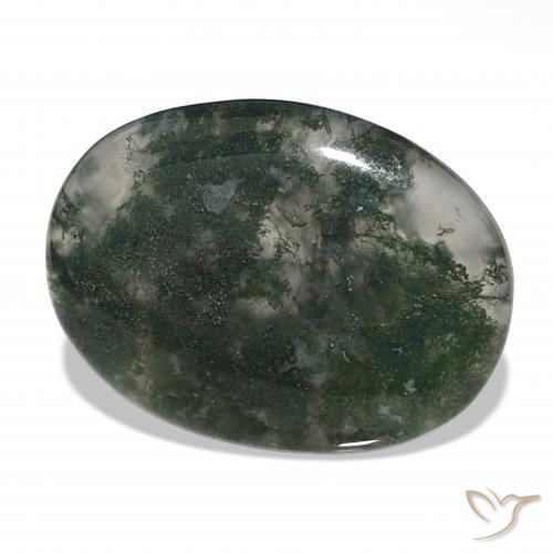 Ágata musgosa Multicolor natural de 39.60 ct, Ovalada, Translúcido