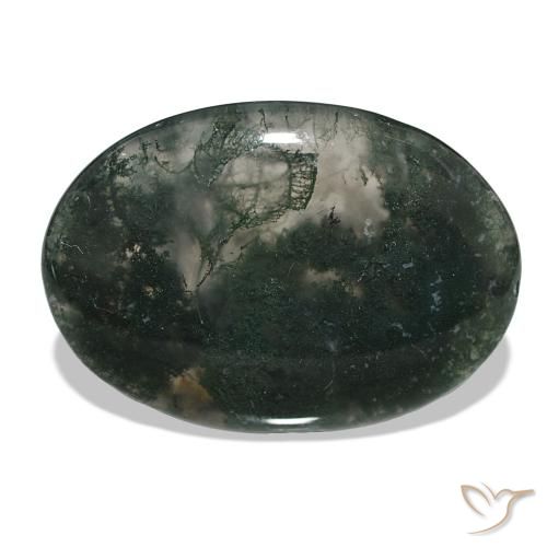 58.50ct Multicolor Ágata musgosa, Ovalada, Translúcido