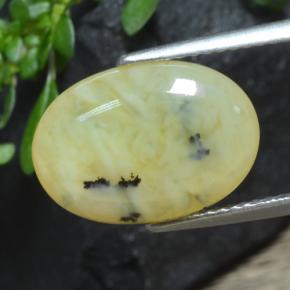 Ópalo musgoso amarillo natural de 4,33 ct, corte óvalo, translúcido