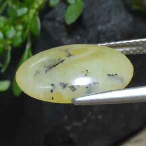 Ópalo musgoso amarillo natural de 4,33 ct, corte óvalo, translúcido