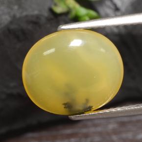 Ópalo musgoso amarillo natural de 3,65 ct, corte óvalo, translúcido