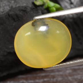 Ópalo musgoso amarillo natural de 3,65 ct, corte óvalo, translúcido