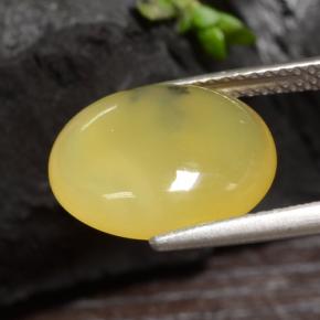 Ópalo musgoso amarillo natural de 3,65 ct, corte óvalo, translúcido