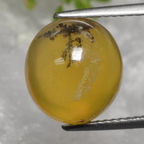 Ópalo musgoso amarillo natural de 5,08 ct, corte óvalo, translúcido