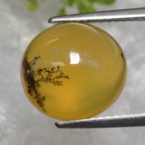 Ópalo musgoso amarillo natural de 5,08 ct, corte óvalo, translúcido