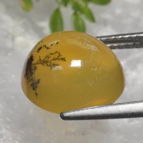 Ópalo musgoso amarillo natural de 5,08 ct, corte óvalo, translúcido