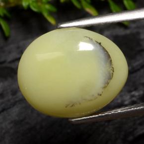 Ópalo musgoso Amarillo crema natural de 4.25 ct, Corte Óvalo, Translúcido