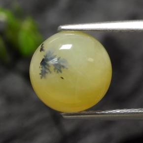 Ópalo musgoso amarillo natural de 2,73 ct, corte redondo, translúcido