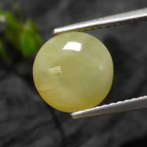 Ópalo musgoso amarillo natural de 2,73 ct, corte redondo, translúcido