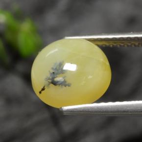 Ópalo musgoso amarillo natural de 2,73 ct, corte redondo, translúcido