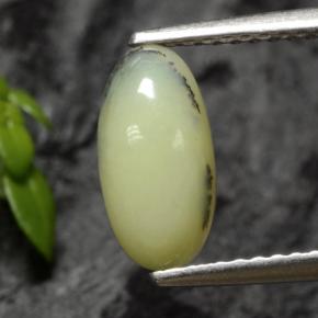 Ópalo musgoso dendrita amarilla natural de 1,12 ct, corte óvalo, translúcido