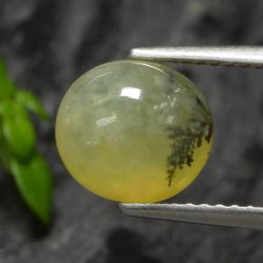 Ópalo musgoso Dendrita amarilla natural de 1.93 ct, Corte Óvalo, Translúcido