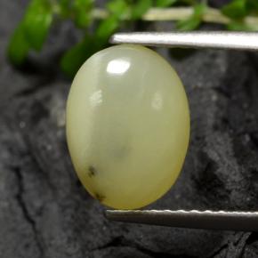 Ópalo musgoso Amarillo crema natural de 1.93 ct, Corte Óvalo, Translúcido
