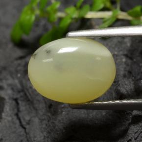 Ópalo musgoso Amarillo crema natural de 1.93 ct, Corte Óvalo, Translúcido
