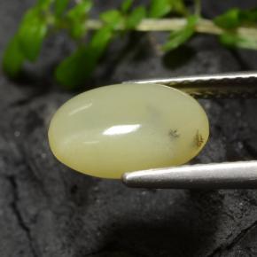 Ópalo musgoso Amarillo crema natural de 1.93 ct, Corte Óvalo, Translúcido