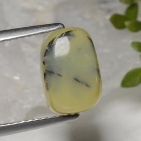 Ópalo musgoso amarillo natural de 3,88 ct, corte cojín, opaco