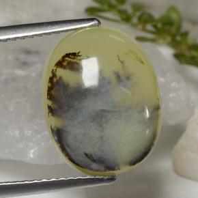 Ópalo musgoso amarillo natural de 6,23 ct, corte óvalo, translúcido