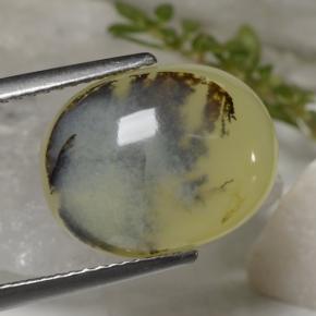 Ópalo musgoso amarillo natural de 6,23 ct, corte óvalo, translúcido