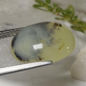 Ópalo musgoso amarillo natural de 6,23 ct, corte óvalo, translúcido